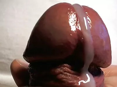 माझ्या शेजारच्या व्हिडीओकडून दूध उधार घेणे (Ariella Ferrera)