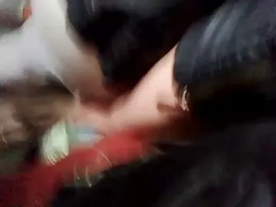 मी रोबोट व्हिडिओ नाही (क्रिसी लिन)