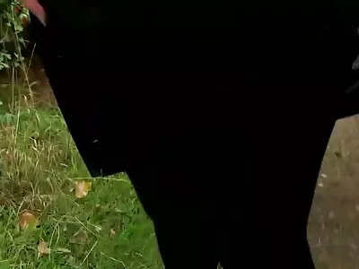 स्नीकी लिटल टीज व्हिडिओ (लैला पाप)